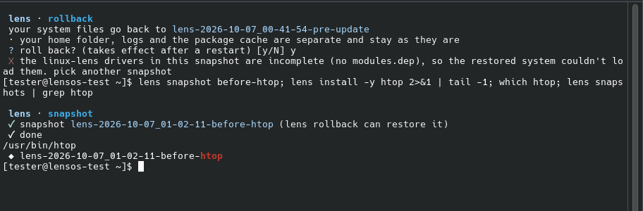 lens taking a snapshot by hand and refusing an unsafe rollback